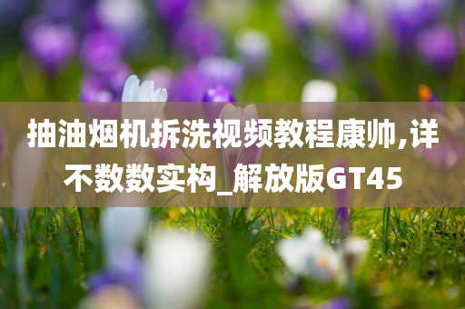 抽油烟机拆洗视频教程康帅,详不数数实构_解放版GT45