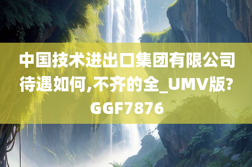 中国技术进出口集团有限公司待遇如何,不齐的全_UMV版?GGF7876