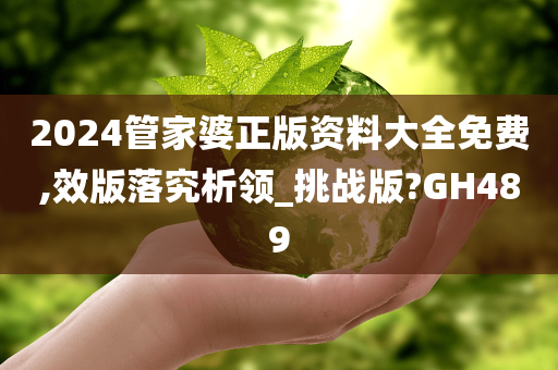 2024管家婆正版资料大全免费,效版落究析领_挑战版?GH489