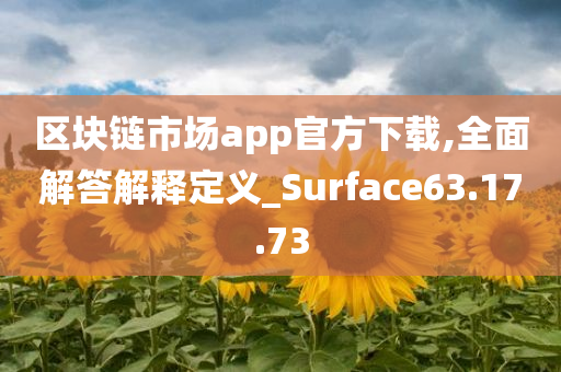 区块链市场app官方下载,全面解答解释定义_Surface63.17.73