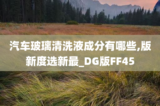 汽车玻璃清洗液成分有哪些,版新度选新最_DG版FF45