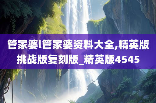 管家婆l管家婆资料大全,精英版挑战版复刻版_精英版4545