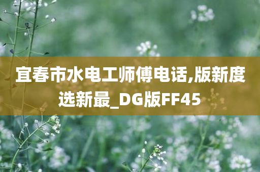 宜春市水电工师傅电话,版新度选新最_DG版FF45