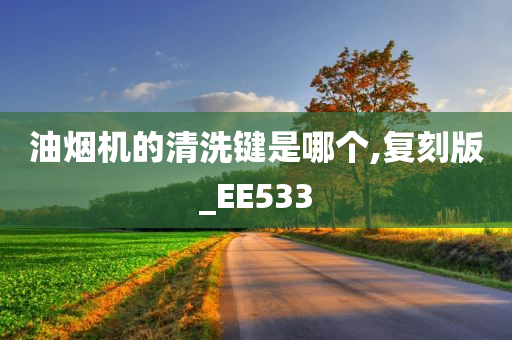 油烟机的清洗键是哪个,复刻版_EE533