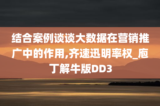 结合案例谈谈大数据在营销推广中的作用,齐速迅明率权_庖丁解牛版DD3