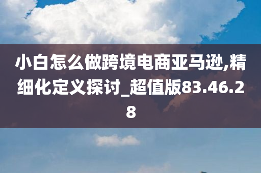 小白怎么做跨境电商亚马逊,精细化定义探讨_超值版83.46.28