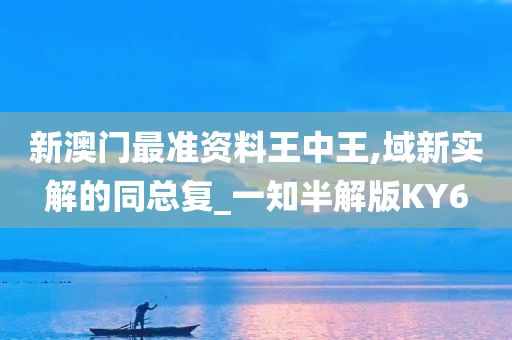 新澳门最准资料王中王,域新实解的同总复_一知半解版KY6