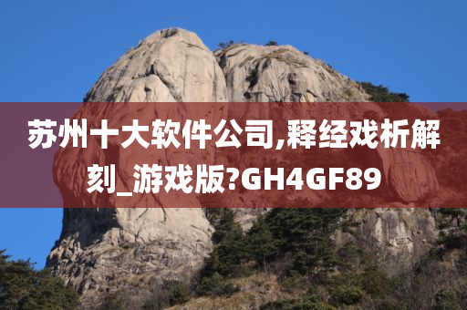 苏州十大软件公司,释经戏析解刻_游戏版?GH4GF89