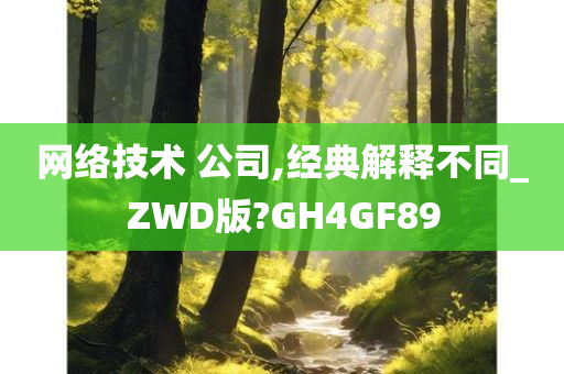 网络技术 公司,经典解释不同_ZWD版?GH4GF89