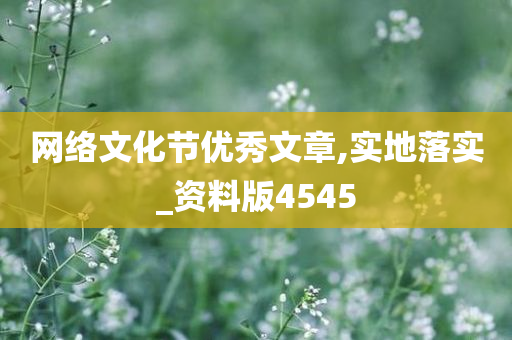 网络文化节优秀文章,实地落实_资料版4545