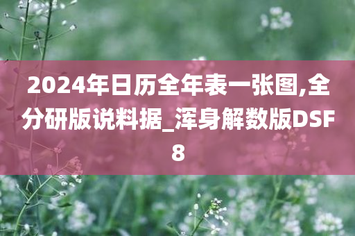 2024年日历全年表一张图,全分研版说料据_浑身解数版DSF8