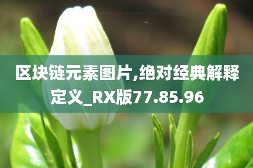 区块链元素图片,绝对经典解释定义_RX版77.85.96