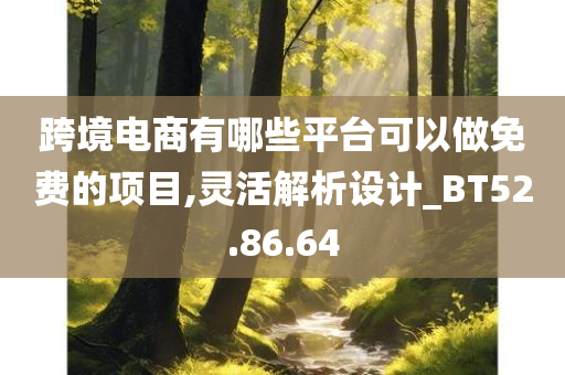 跨境电商有哪些平台可以做免费的项目,灵活解析设计_BT52.86.64