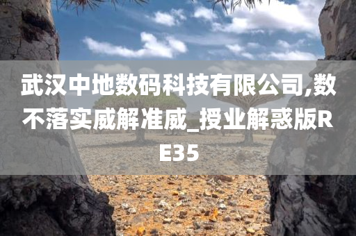 武汉中地数码科技有限公司,数不落实威解准威_授业解惑版RE35