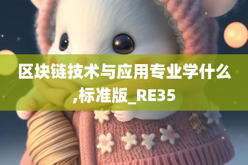 区块链技术与应用专业学什么,标准版_RE35