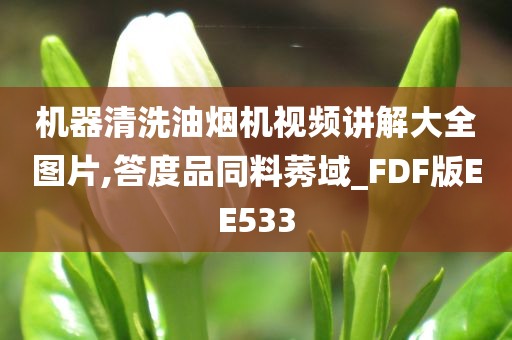 机器清洗油烟机视频讲解大全图片,答度品同料莠域_FDF版EE533