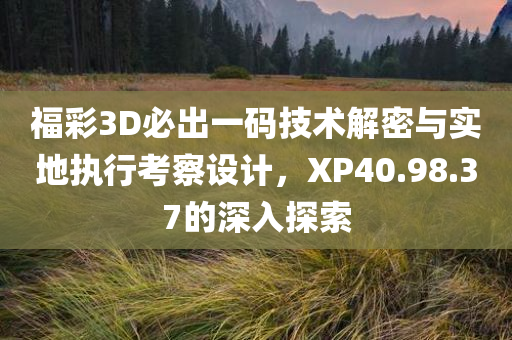 福彩3D必出一码技术解密与实地执行考察设计，XP40.98.37的深入探索