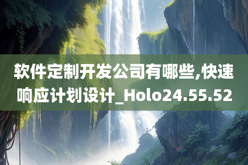 软件定制开发公司有哪些,快速响应计划设计_Holo24.55.52