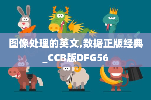 图像处理的英文,数据正版经典_CCB版DFG56