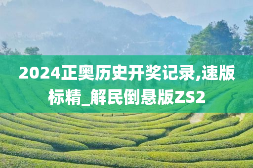 2024正奥历史开奖记录,速版标精_解民倒悬版ZS2