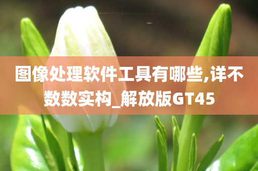 图像处理软件工具有哪些,详不数数实构_解放版GT45