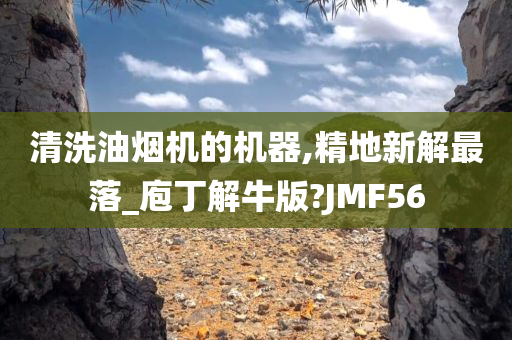 清洗油烟机的机器,精地新解最落_庖丁解牛版?JMF56