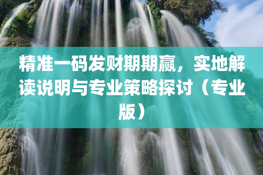 精准一码发财期期赢，实地解读说明与专业策略探讨（专业版）