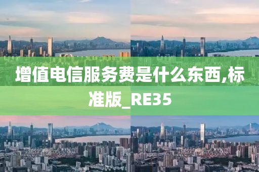 增值电信服务费是什么东西,标准版_RE35