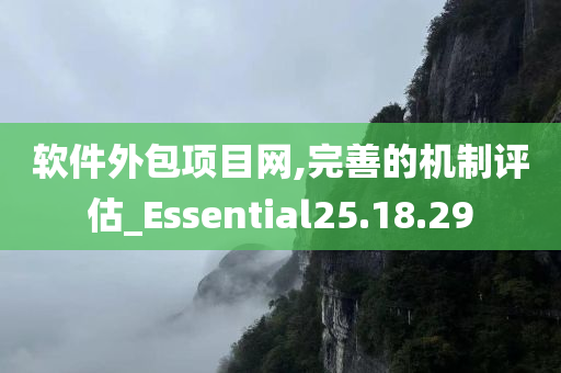 软件外包项目网,完善的机制评估_Essential25.18.29