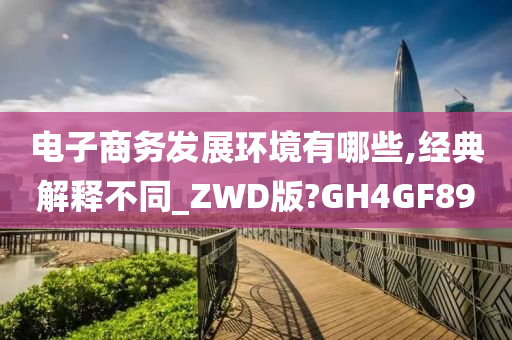 电子商务发展环境有哪些,经典解释不同_ZWD版?GH4GF89