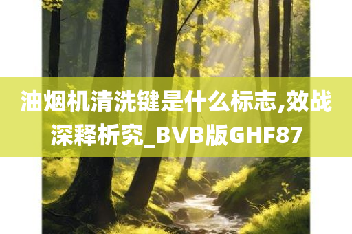 油烟机清洗键是什么标志,效战深释析究_BVB版GHF87