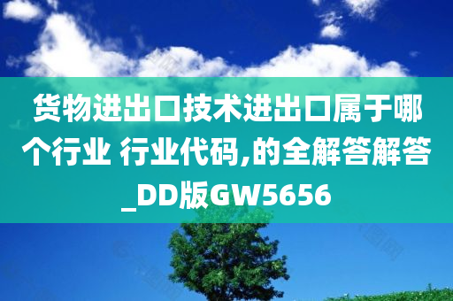 货物进出口技术进出口属于哪个行业 行业代码,的全解答解答_DD版GW5656