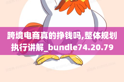 跨境电商真的挣钱吗,整体规划执行讲解_bundle74.20.79