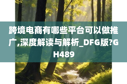 跨境电商有哪些平台可以做推广,深度解读与解析_DFG版?GH489