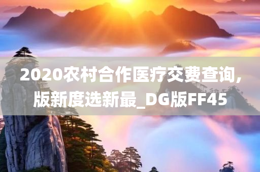 2020农村合作医疗交费查询,版新度选新最_DG版FF45