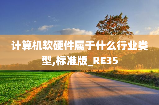 计算机软硬件属于什么行业类型,标准版_RE35