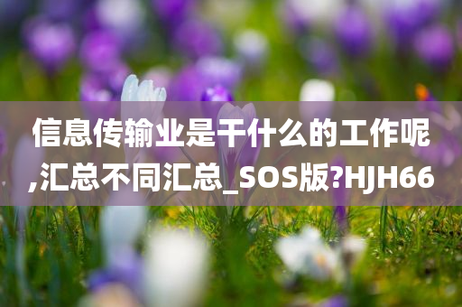 信息传输业是干什么的工作呢,汇总不同汇总_SOS版?HJH66