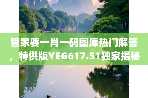 管家婆一肖一码图库热门解答，特供版YEG617.51独家揭秘