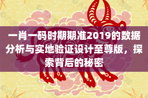 一肖一码时期期准2019的数据分析与实地验证设计至尊版，探索背后的秘密