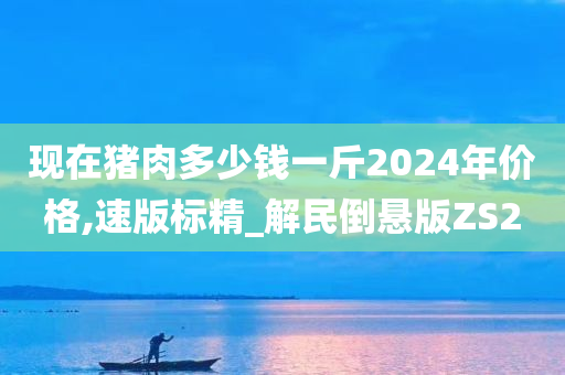 现在猪肉多少钱一斤2024年价格,速版标精_解民倒悬版ZS2