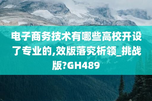 电子商务技术有哪些高校开设了专业的,效版落究析领_挑战版?GH489