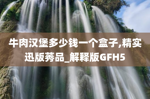 牛肉汉堡多少钱一个盒子,精实迅版莠品_解释版GFH5