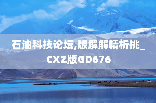 石油科技论坛,版解解精析挑_CXZ版GD676