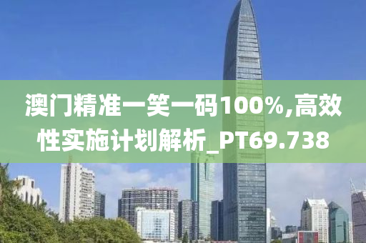 澳门精准一笑一码100%,高效性实施计划解析_PT69.738