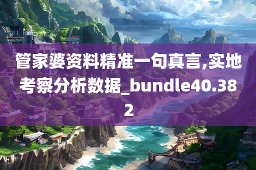 管家婆资料精准一句真言,实地考察分析数据_bundle40.382