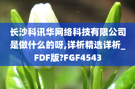 长沙科讯华网络科技有限公司是做什么的呀,详析精选详析_FDF版?FGF4543