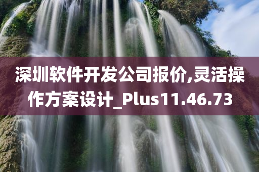 深圳软件开发公司报价,灵活操作方案设计_Plus11.46.73