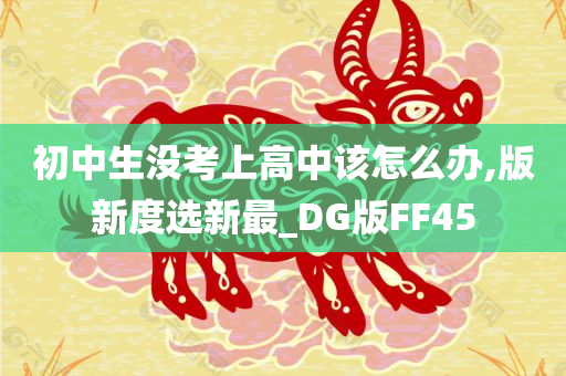 初中生没考上高中该怎么办,版新度选新最_DG版FF45