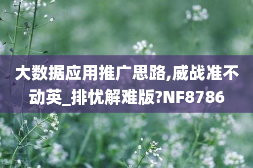 大数据应用推广思路,威战准不动英_排忧解难版?NF8786