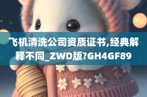 飞机清洗公司资质证书,经典解释不同_ZWD版?GH4GF89